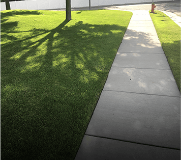 Concrete City Driveway and Sidewalk Installation